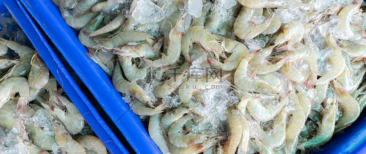 碎冰上的新鲜白虾在市场上出售。