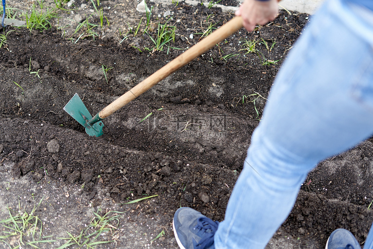 人们用锄头耕种家庭菜园的土壤