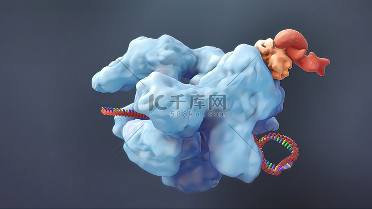 3D动画DNA的遗传结构