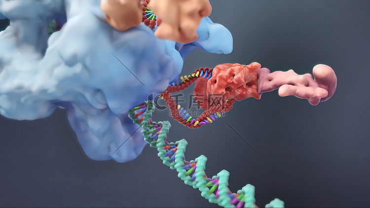 3D动画DNA的遗传结构