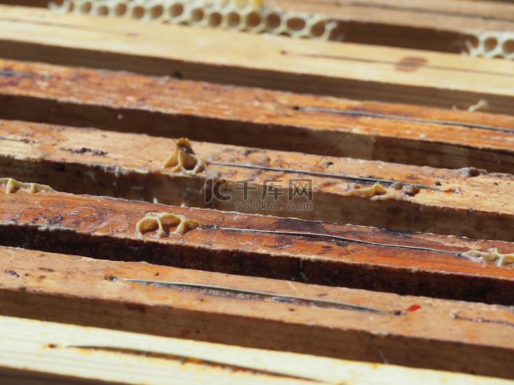养蜂大师从蜂群中的蜂箱中取出装