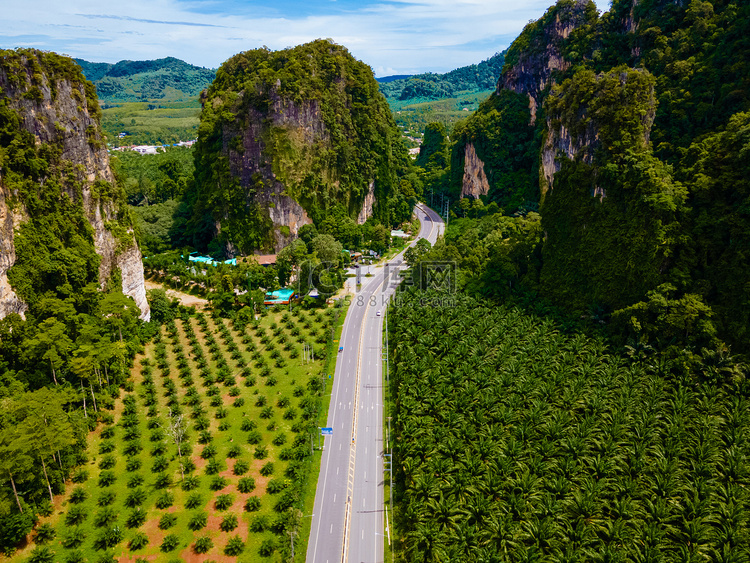 泰国甲米公路和棕榈油种植园鸟瞰