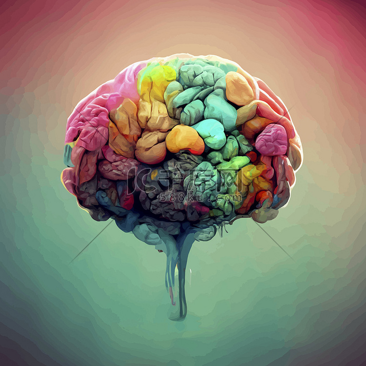 人脑的彩色插图。