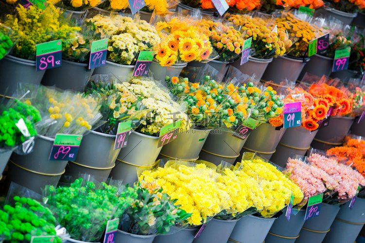 欧洲户外街头花卉市场，各种色彩