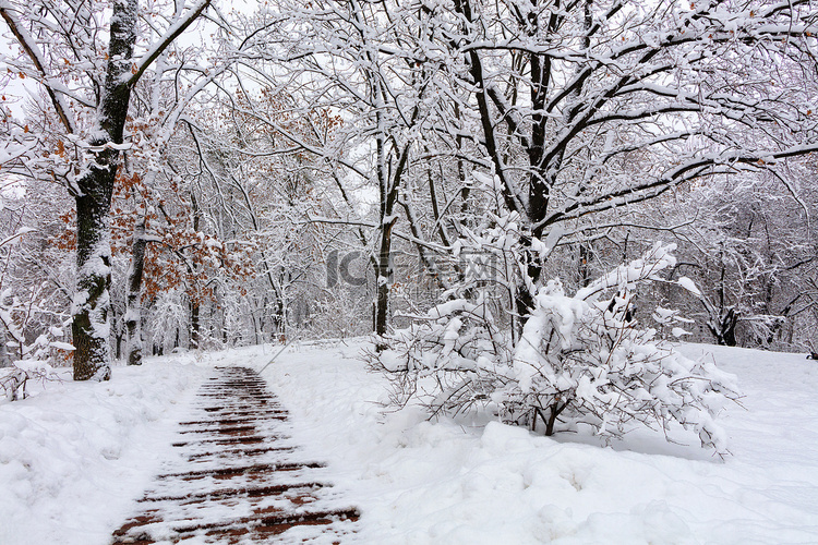 城市公园橡树林斜坡上的小路被雪