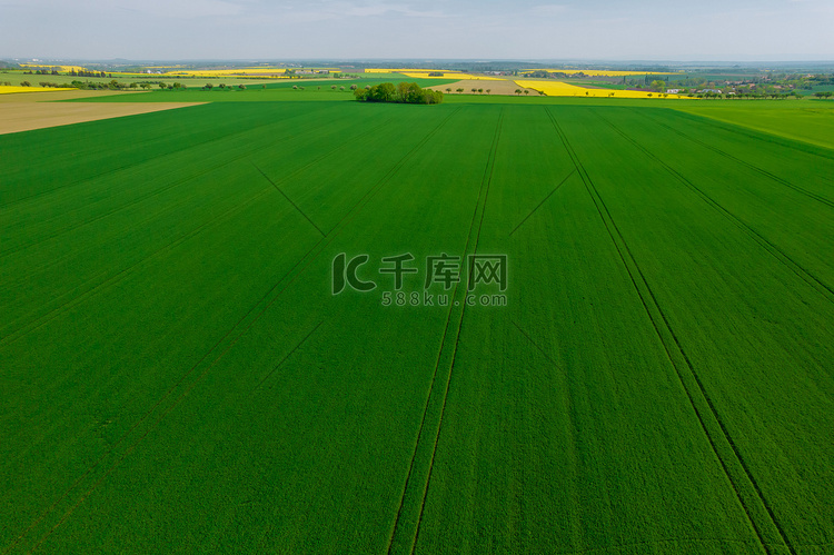 从上面看一片绿色的麦田，田地里
