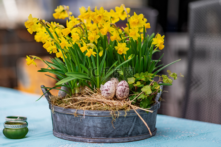 大锅里的水仙花和复活节彩蛋