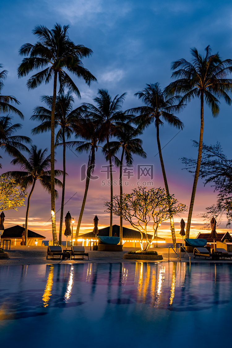 泰国日落期间夜间有棕榈树的豪华