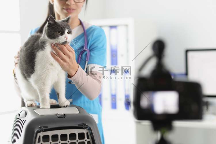 年轻女医生在镜头前展示灰猫，抚