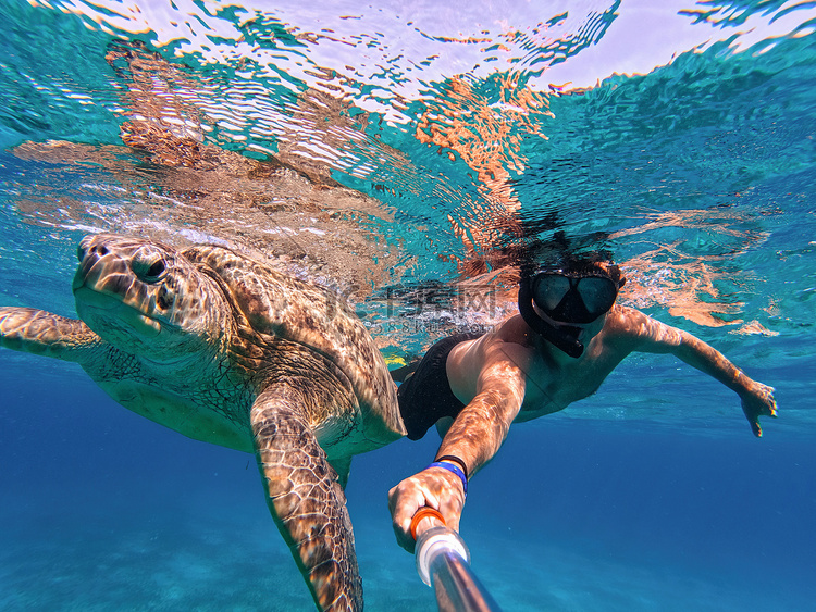与绿海龟一起浮潜游泳，埃及马萨