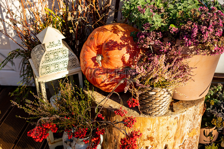 季节性家庭花园秋季装饰，配有石