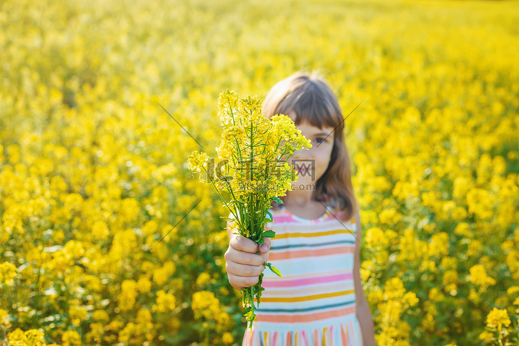黄色田野里的孩子，芥菜花开。