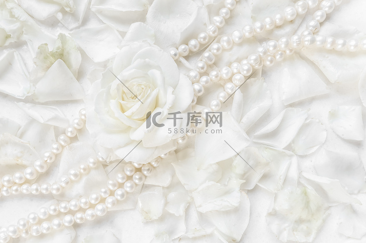 花瓣背景上美丽的白玫瑰和珍珠项