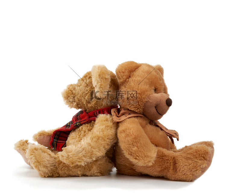 两只可爱的卷曲棕色泰迪熊背靠背