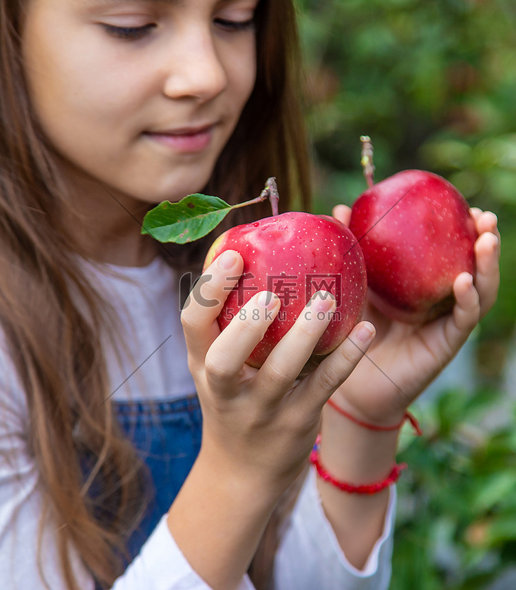 一个孩子在花园里采摘苹果。