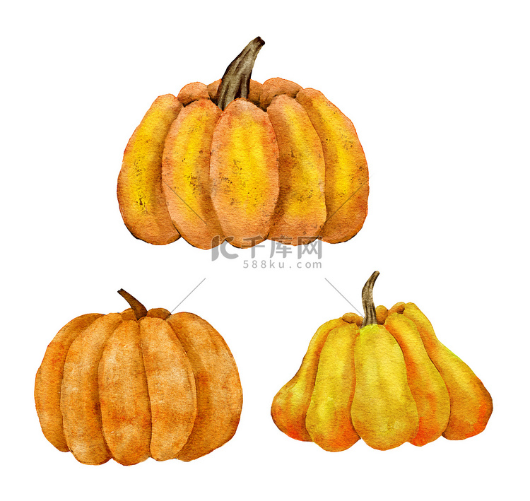 水彩手绘橙黄色南瓜插图，秋季有