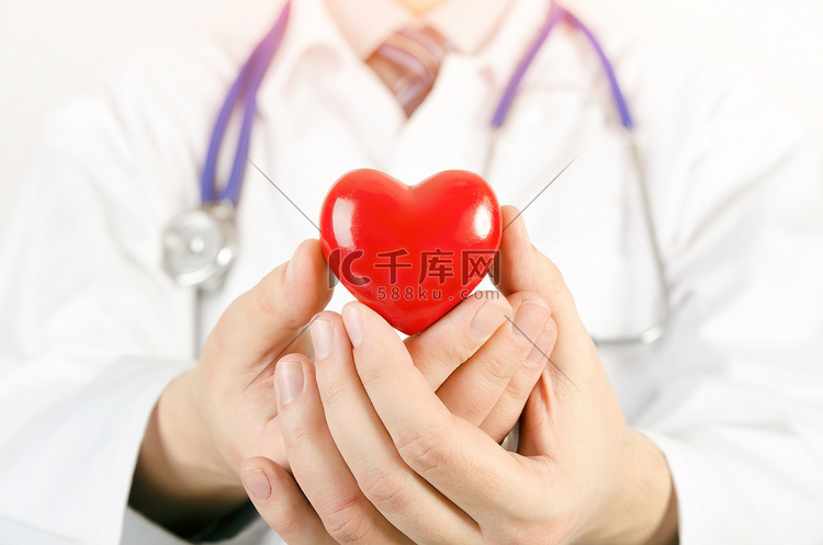 心脏病专家拿着心脏 3D 模型