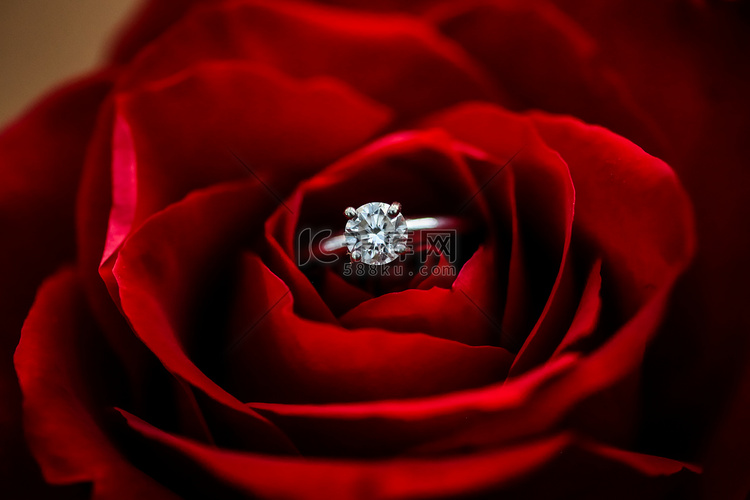塞进一朵玫瑰的结婚戒指的特写。