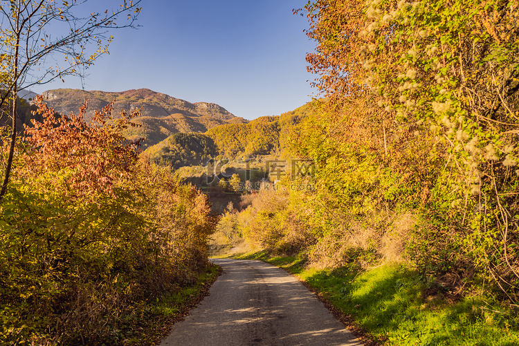 黑山黄树、道路和山脉的美丽秋景