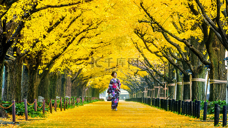 秋天，美丽的女孩穿着日本传统和