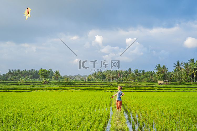 旅游男孩在稻田里放风筝。