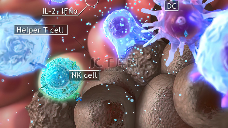 3D 医学插图细胞毒性 T 细