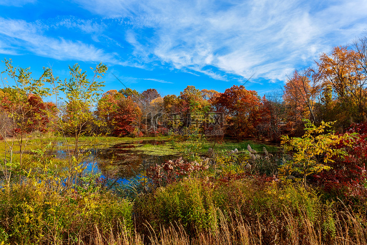 五颜六色的秋天森林湖河天空云彩