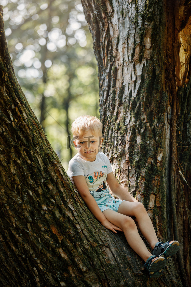 可爱的孩子男孩在夏日坐在大老树