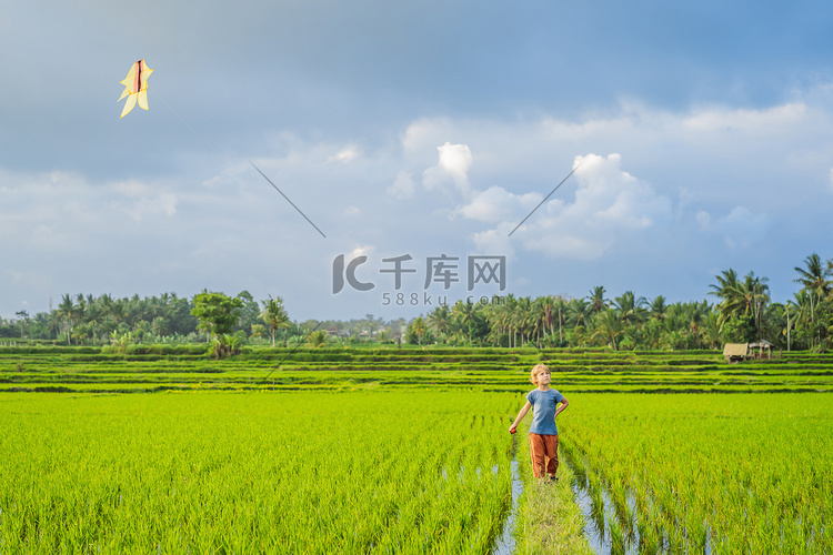 旅游男孩在稻田里放风筝。