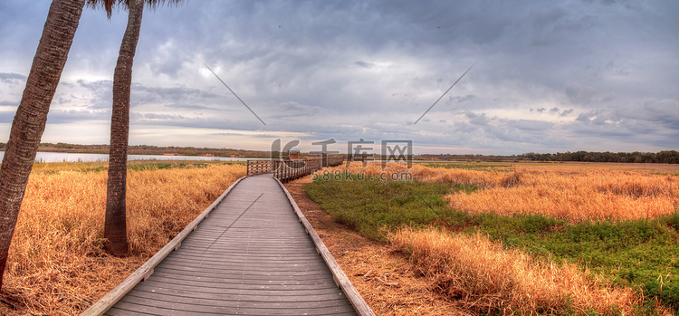 米亚卡河州湿地和沼泽沿岸的木板