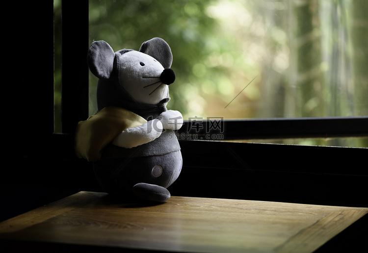 泰迪老鼠站在卧室的木桌上，呆在