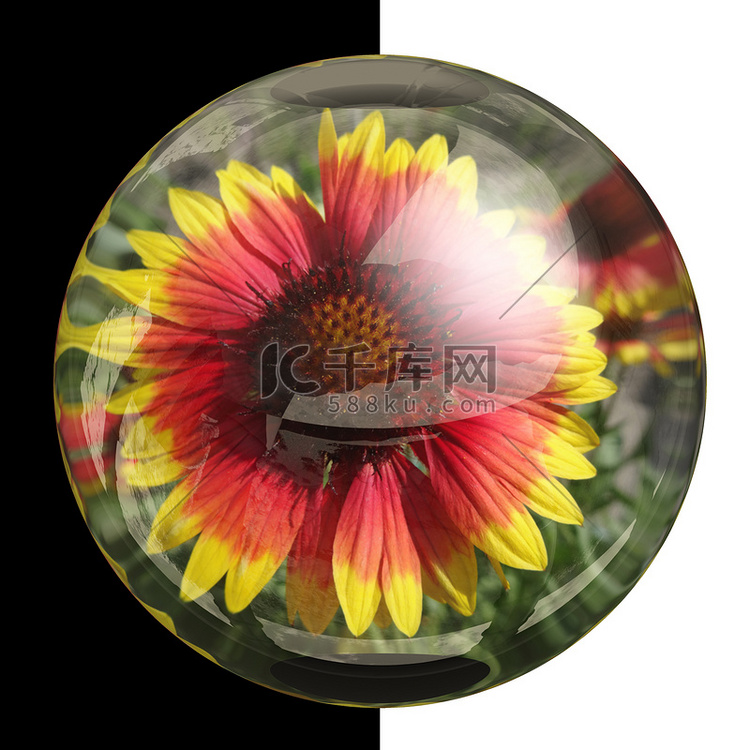 3D 光泽圆形按钮与真花
