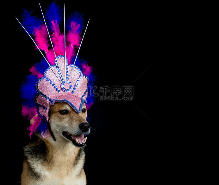 一只为狂欢节打扮的狗的肖像，上