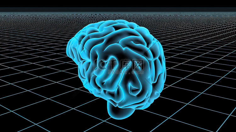 人脑的 3D 动画无缝循环