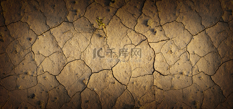 干旱和沙漠土地的特写，干旱和气