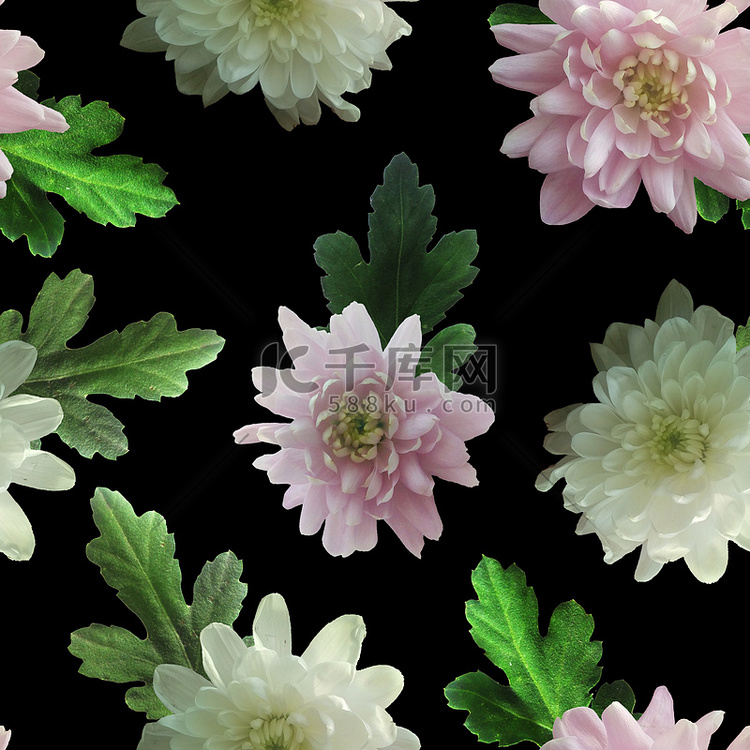 照片和数字无缝模式与自然菊花。