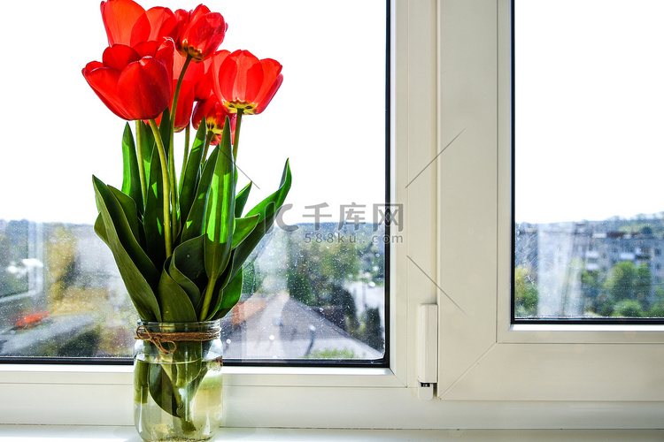 窗台上花瓶中的红色郁金香明亮，