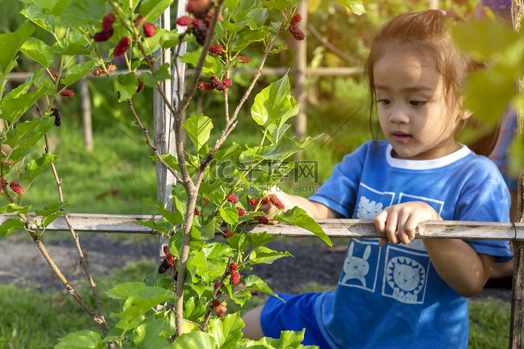 可爱的小女孩学习如何耕种和园艺