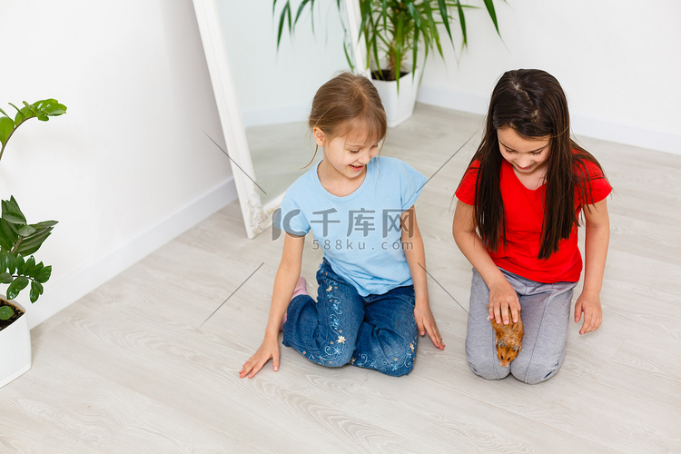 两个小女孩玩仓鼠