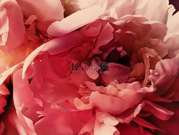 红牡丹花作为假日品牌的抽象花卉