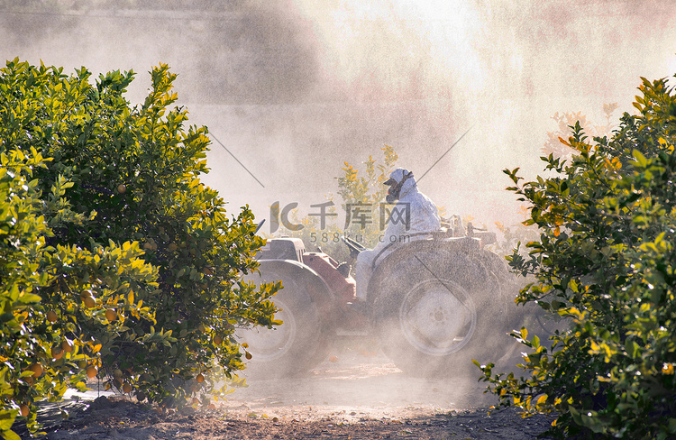 拖拉机在西班牙柠檬种植园喷洒农