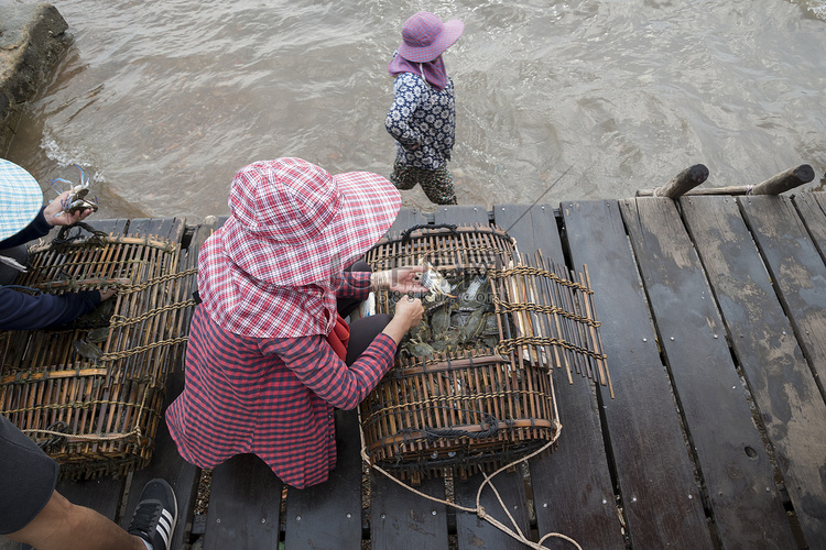 柬埔寨白马省 Krong Kaeb 螃蟹市场