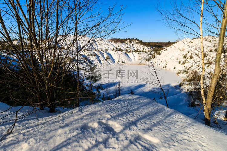 冬天覆盖着白雪的山丘上有松树和