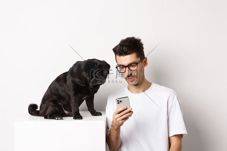 年轻人在智能手机上向可爱的狗、