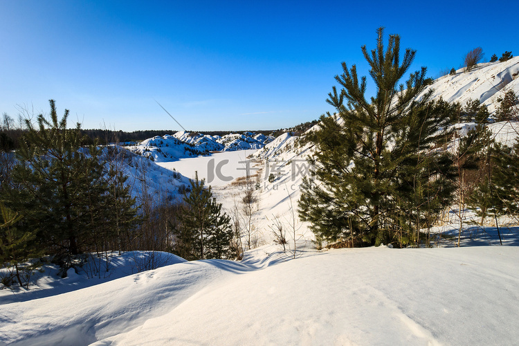 冬天覆盖着白雪的山丘上有松树和