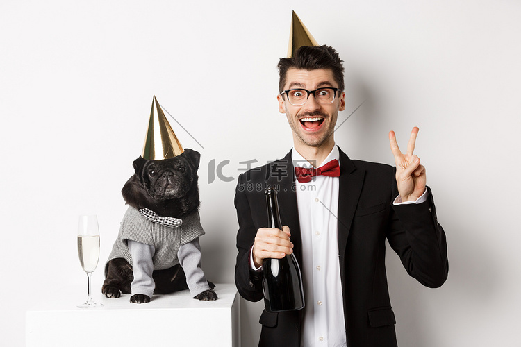 戴着派对帽的小黑狗站在庆祝节日