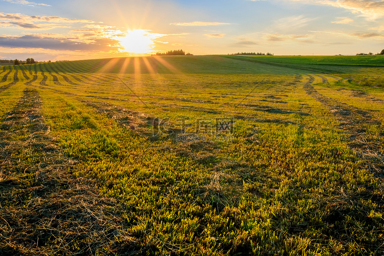 夏天农村耕地的日出。