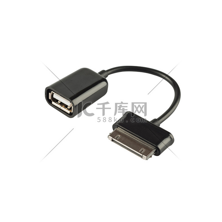 带 ipad 连接器的 USB 数据线