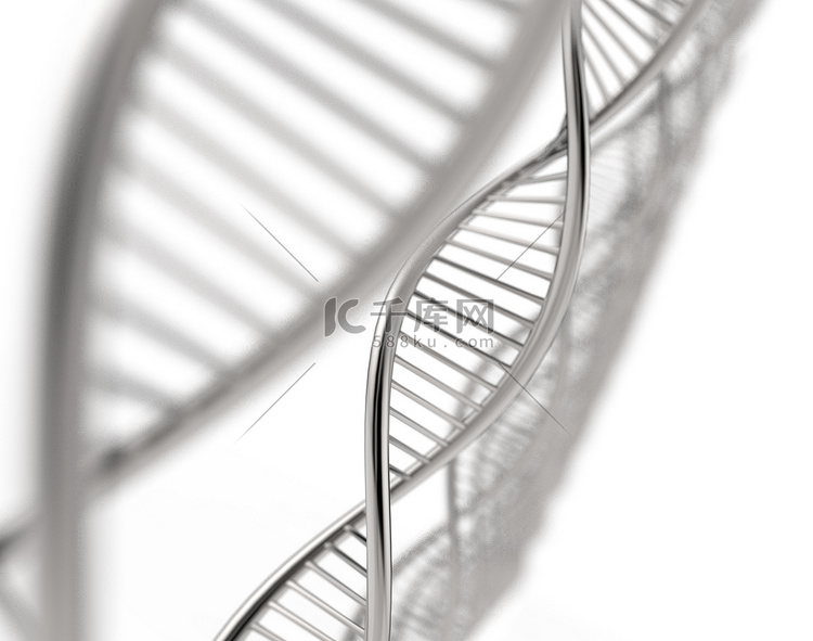 DNA 链的图像