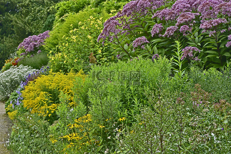 色彩缤纷的花园边界，混合种植和